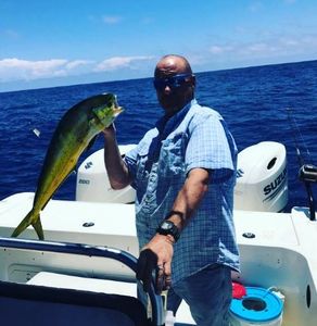 Dolphinfish Offshore Fishing in Florida
